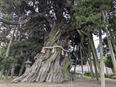 PXL_20251101_221134762