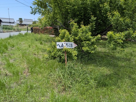PXL_20250501_030825989