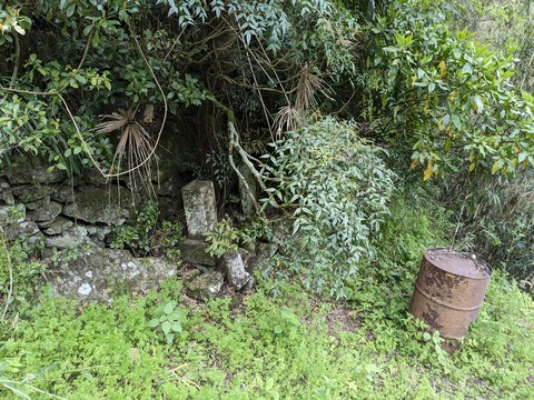 PXL_20240426_035132723