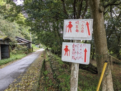 PXL_20240424_044559513