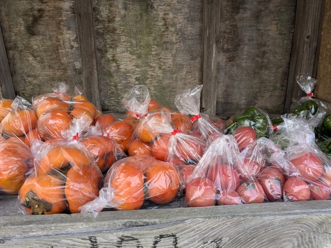 PXL_20251127_030204799