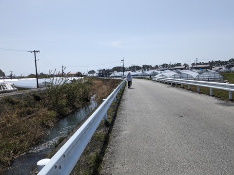 PXL_20240330_021223375