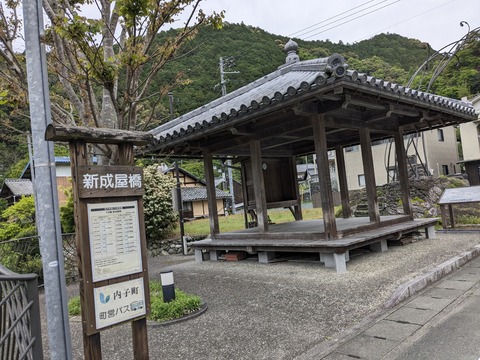 PXL_20240425_225346883