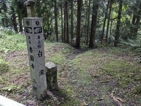 PXL_20241026_053658018