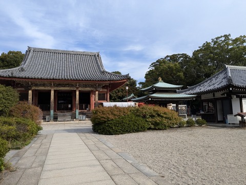 PXL_20241108_000855164