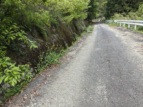 PXL_20240426_035401214