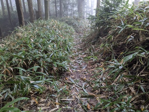 PXL_20241026_031002892