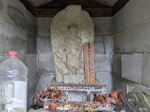 PXL_20250928_030739042