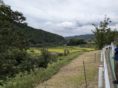 PXL_20240925_011156127