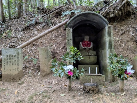 PXL_20251113_045800849