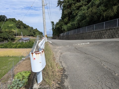 PXL_20241024_002501274