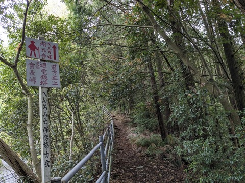 PXL_20240424_013737164