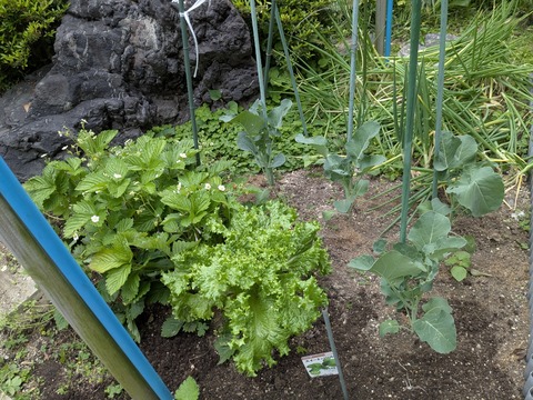 PXL_20250505_072535291