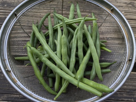 PXL_20240705_234140993