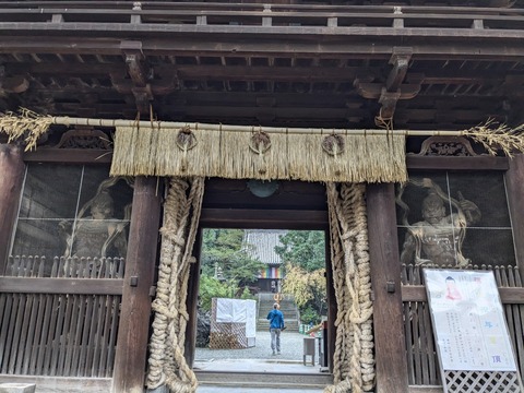 PXL_20241022_235200189