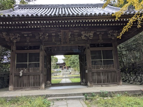 PXL_20251112_001258381