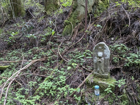 PXL_20240426_055757523