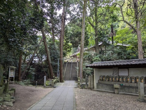 PXL_20241026_234509518