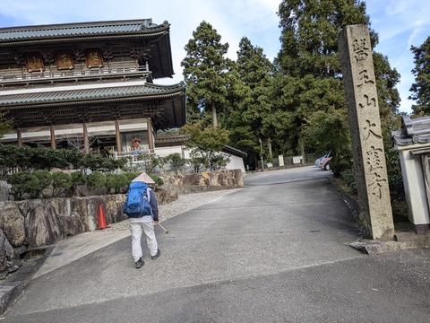 PXL_20241109_062737618