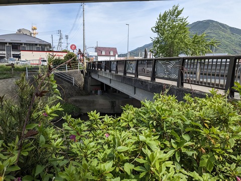 PXL_20240425_045041920.MP