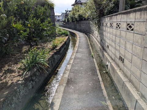 PXL_20251111_035357759