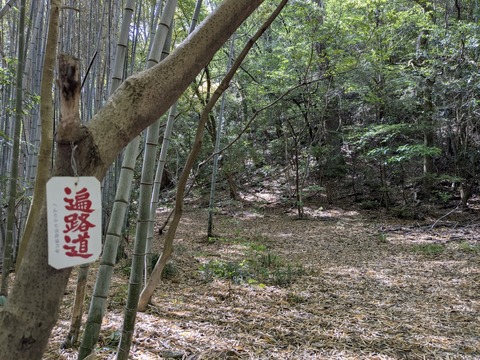 PXL_20250427_003539324