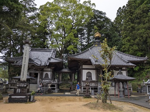 PXL_20240424_001710726