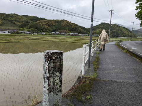 PXL_20240423_234224727