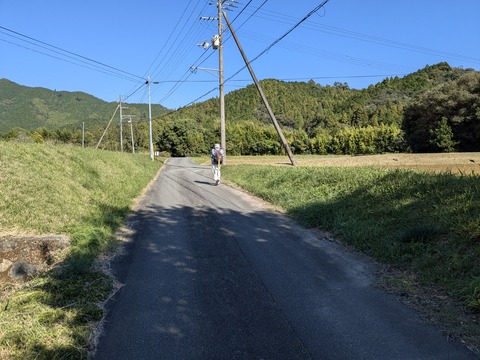 PXL_20241120_021824006