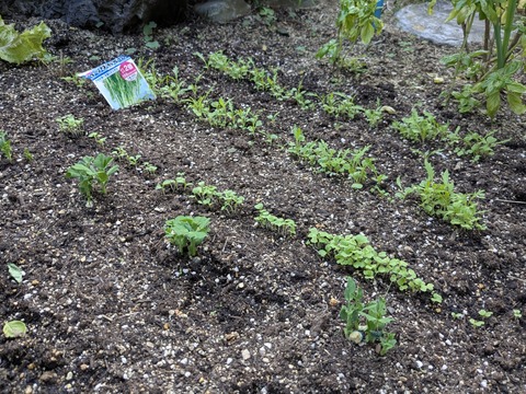 PXL_20251027_054835832