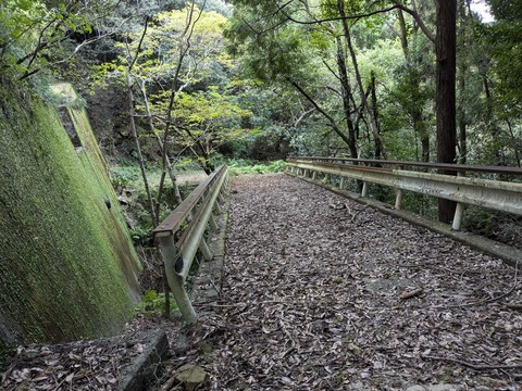 PXL_20241121_010007078