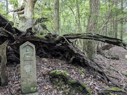 PXL_20240424_023203465