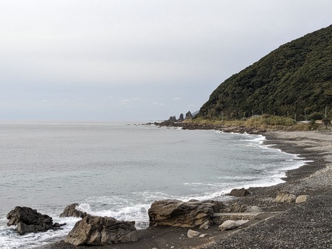 PXL_20240327_212119067