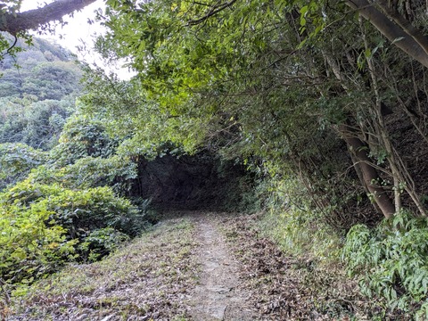 PXL_20251114_231812879