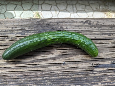 PXL_20240608_002917455