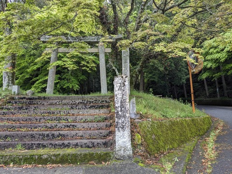 PXL_20240424_044929224