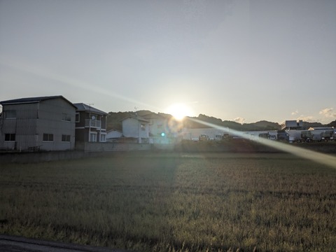 PXL_20240508_205139010