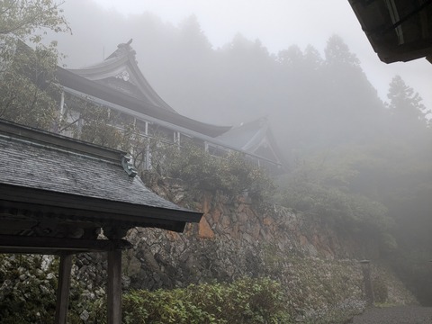 PXL_20241026_015237182