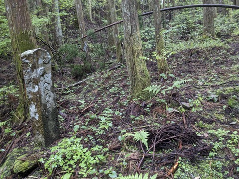 PXL_20240427_033459830