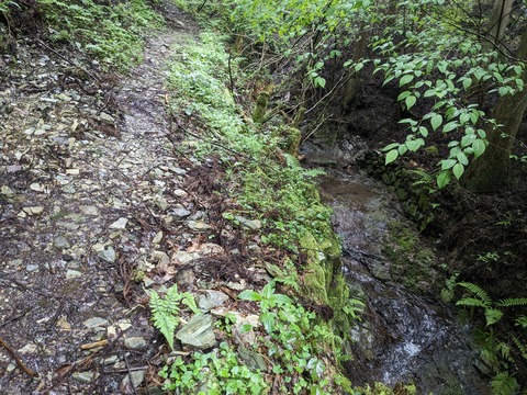 PXL_20240427_030749755