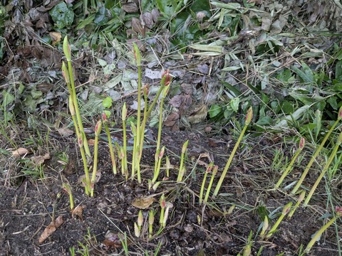 PXL_20250922_213558849