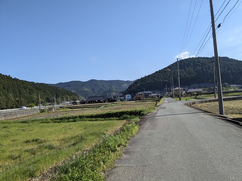 PXL_20240424_231941863