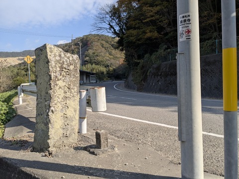 PXL_20251115_012043227