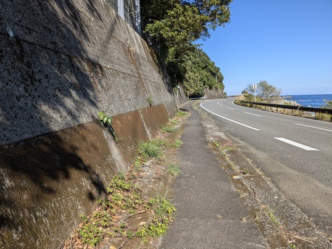 PXL_20241121_042542634