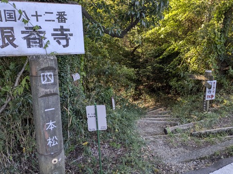 PXL_20241106_234743009