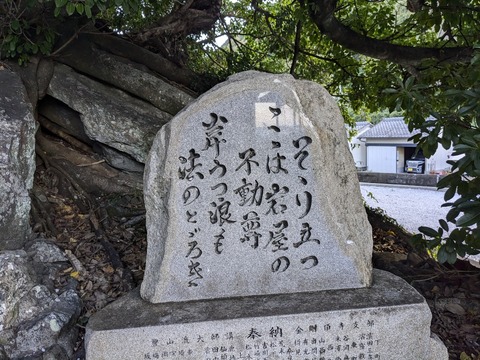 PXL_20241122_231507543