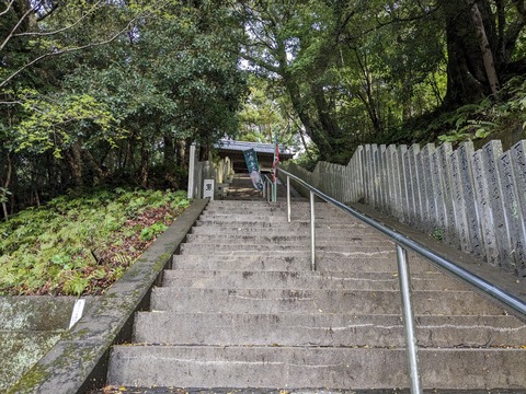 PXL_20240328_224915399