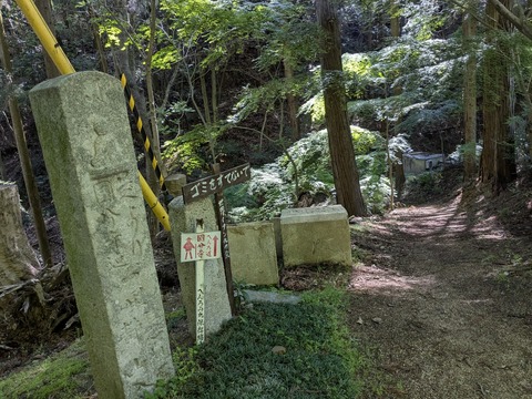 PXL_20250429_003835320