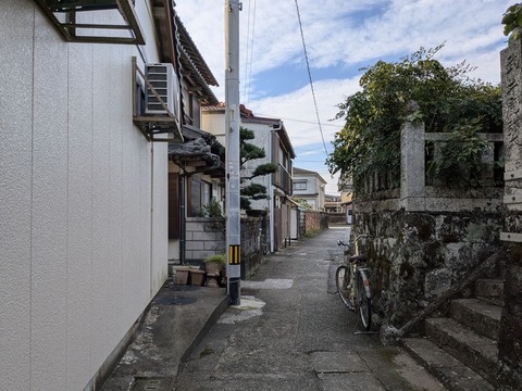 PXL_20241122_052406184