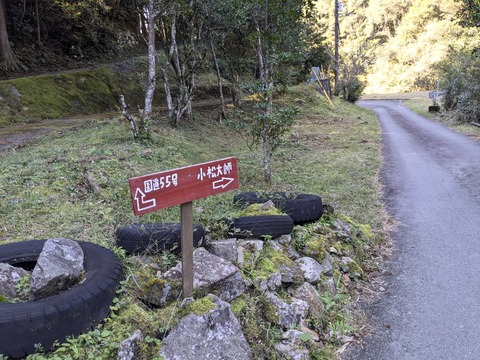 PXL_20241120_014742897